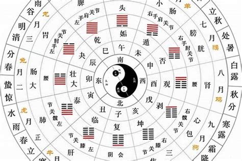 十二生肖 天干地支|天干地支（中国古代天文历法）